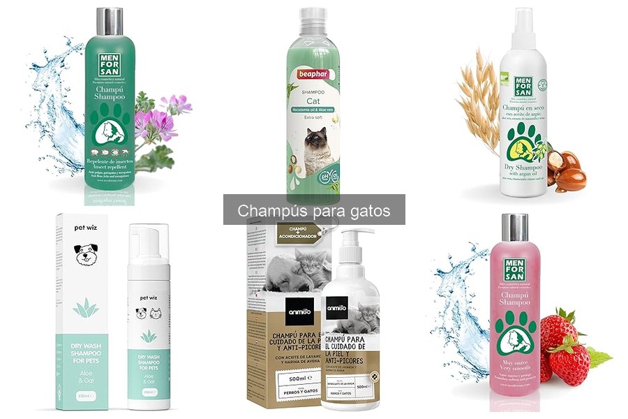 Comparativa de Champús para Gatos: Mejores Marcas 2023