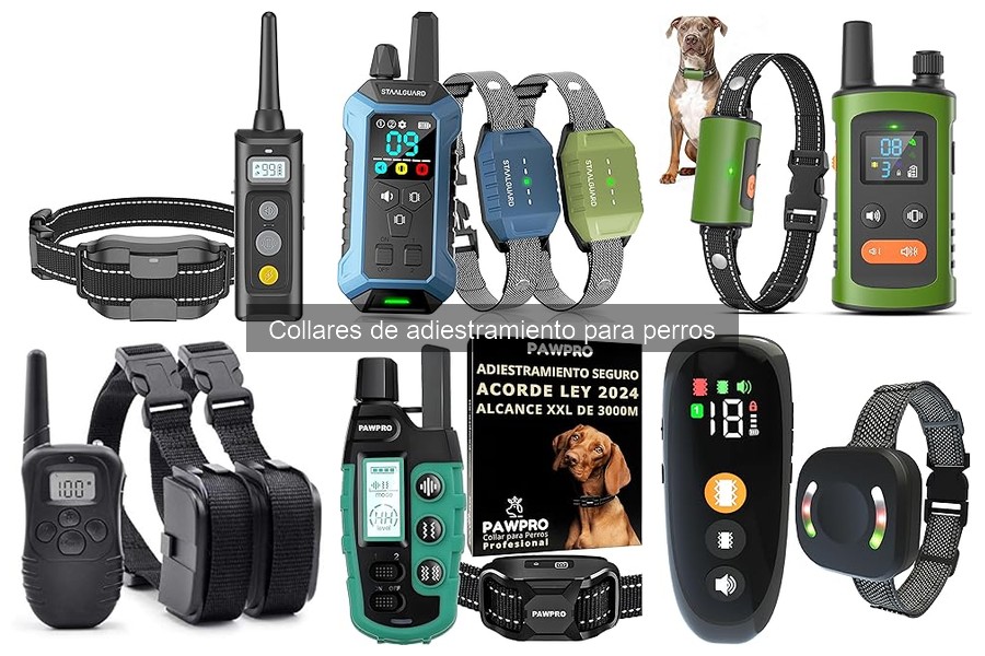 Comparativa de Collares de Adiestramiento para Perros