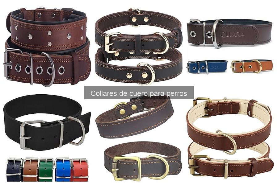 Comparativa de collares de cuero para perros: marcas populares