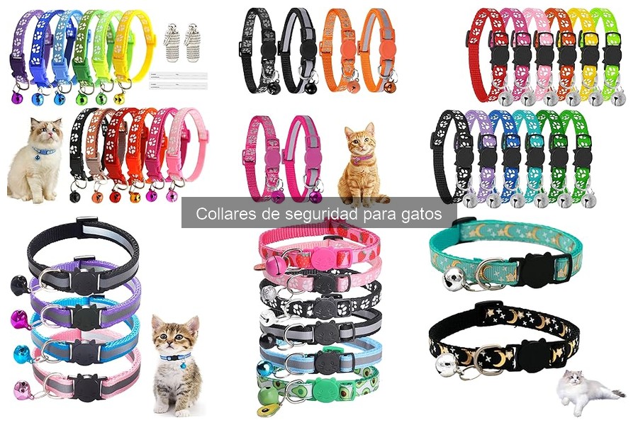 Comparativa de Collares de Seguridad para Gatos: Mejores Opciones