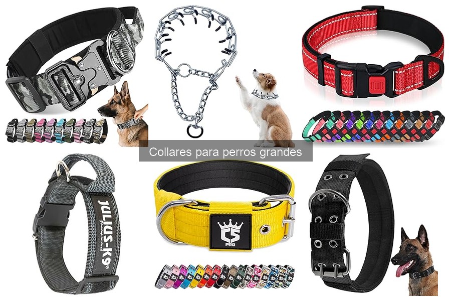 Comparativa de Collares Eléctricos y Tradicionales para Perros Grandes