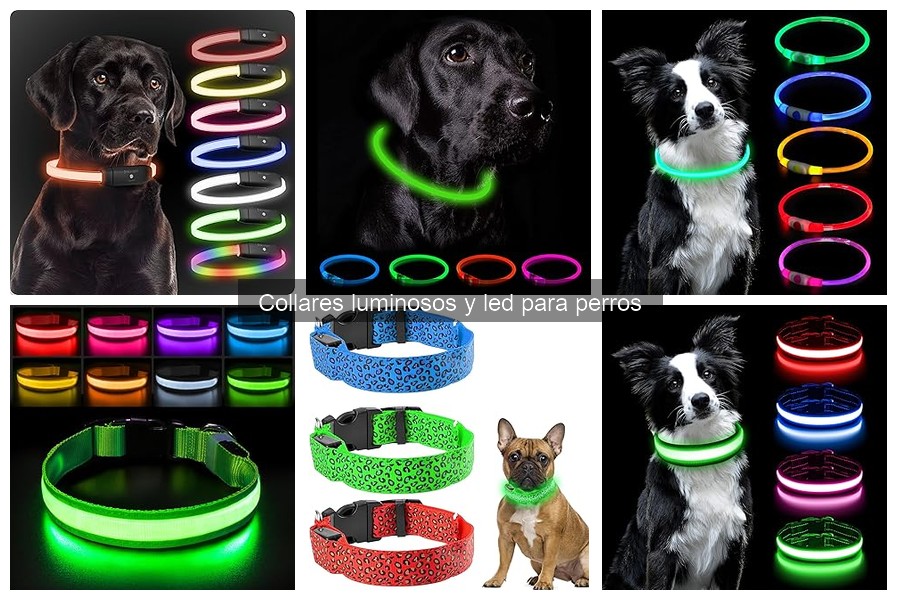 Comparativa de Collares Luminosos para Perros: Mejores Marcas