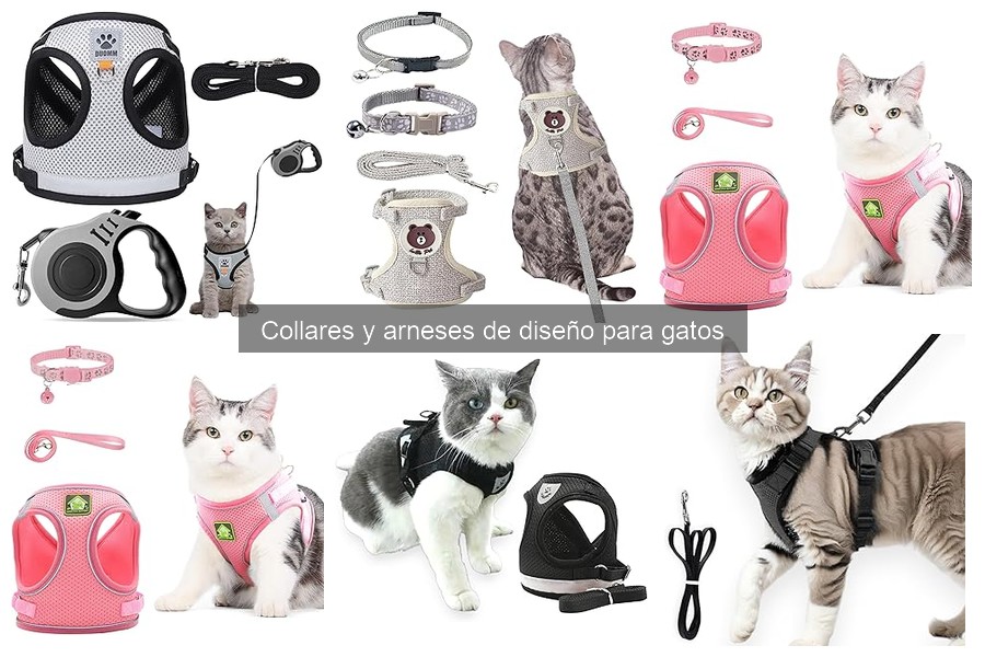 Comparativa de Collares vs Arnés de Diseño para Gatos