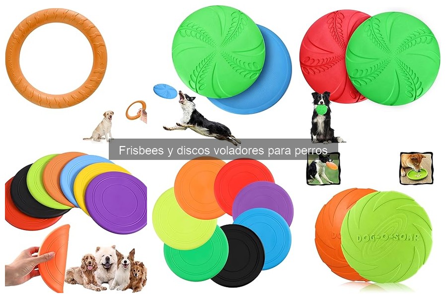 Comparativa de Frisbees para Perros: Mejoropciones y Durabilidad
