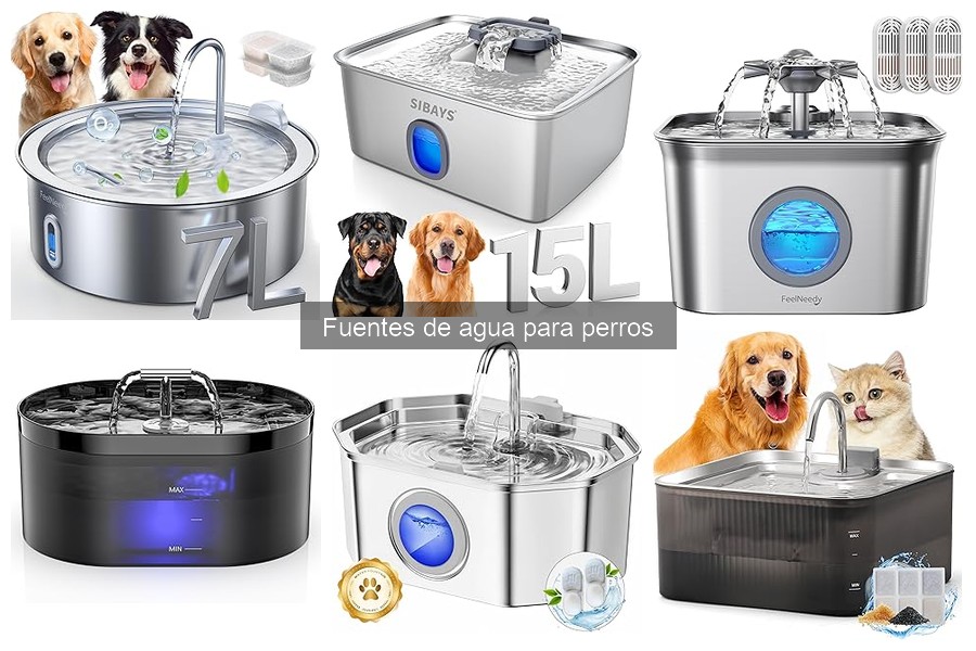 Comparativa de Fuentes de Agua para Perros: Marcas y Modelos