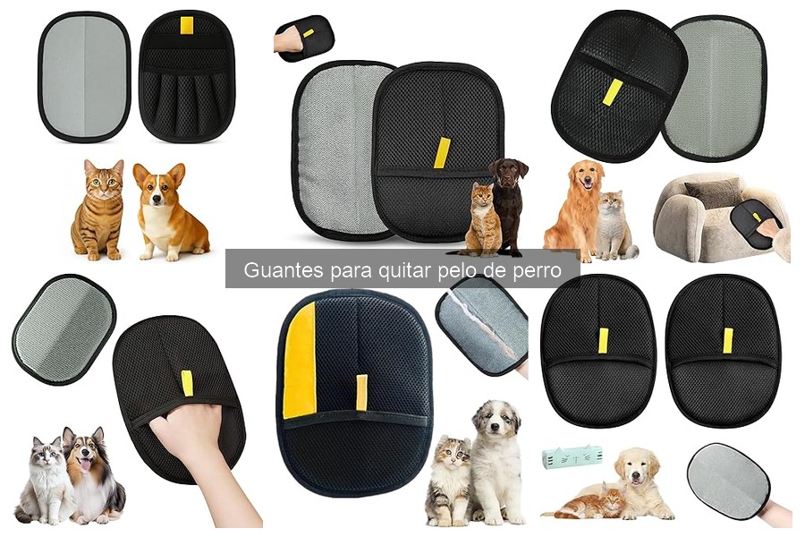 Comparativa de guantes para quitar pelo de perro