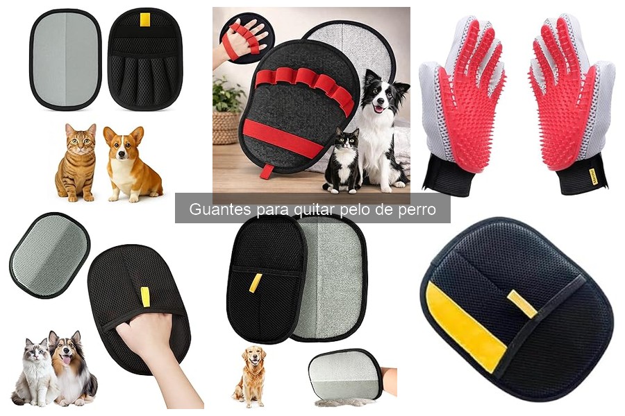 Comparativa de guantes y métodos para quitar pelo de perro