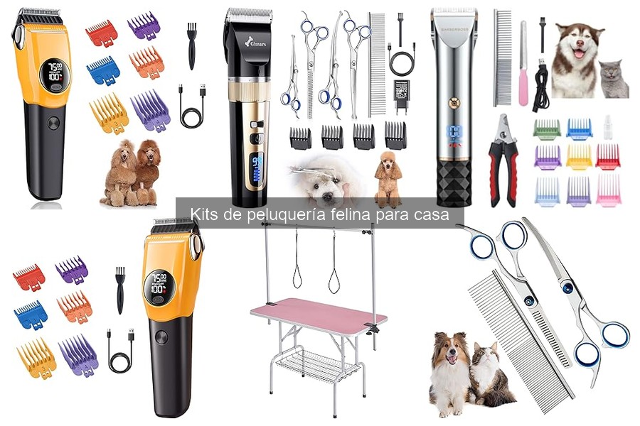 Comparativa de Kits de Peluquería para Gatos 2023