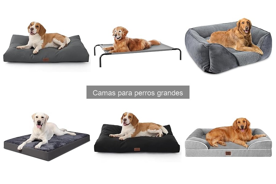 Comparativa de las Mejores Camas para Perros Grandes