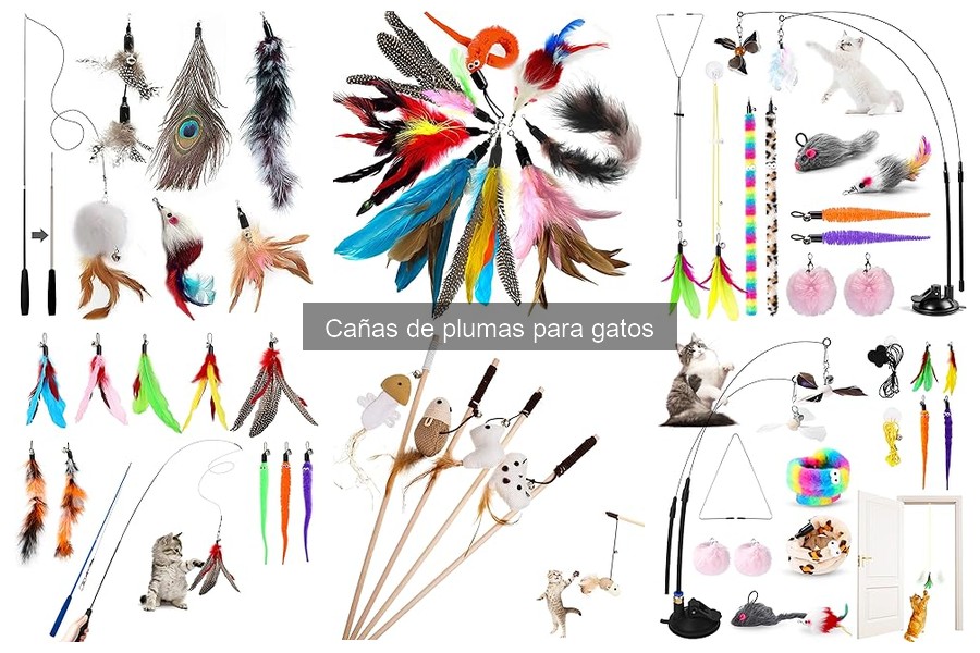 Comparativa de las Mejores Cañas de Plumas para Gatos