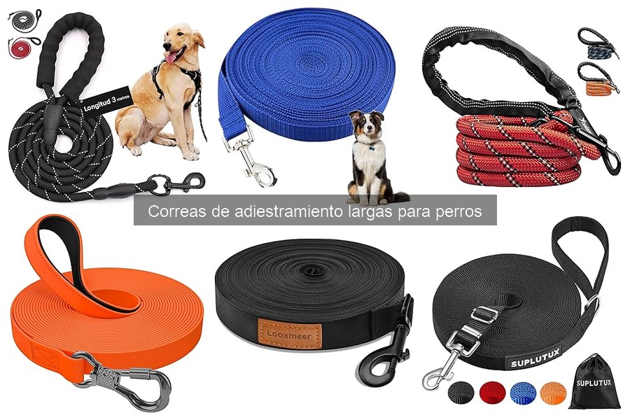 Comparativa de las Mejores Correas Largas para Adiestramiento