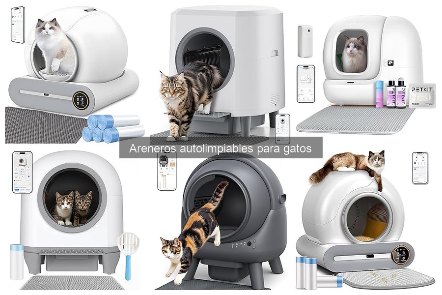 Comparativa de los Mejores Areneros Autolimpiables para Gatos