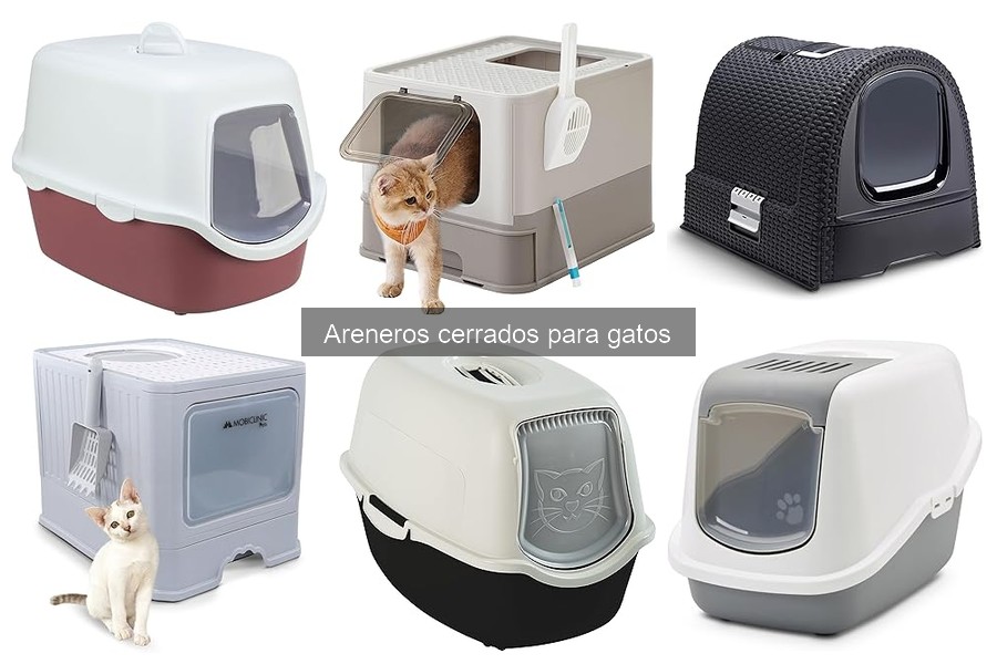 Comparativa de los Mejores Areneros Cerrados para Gatos