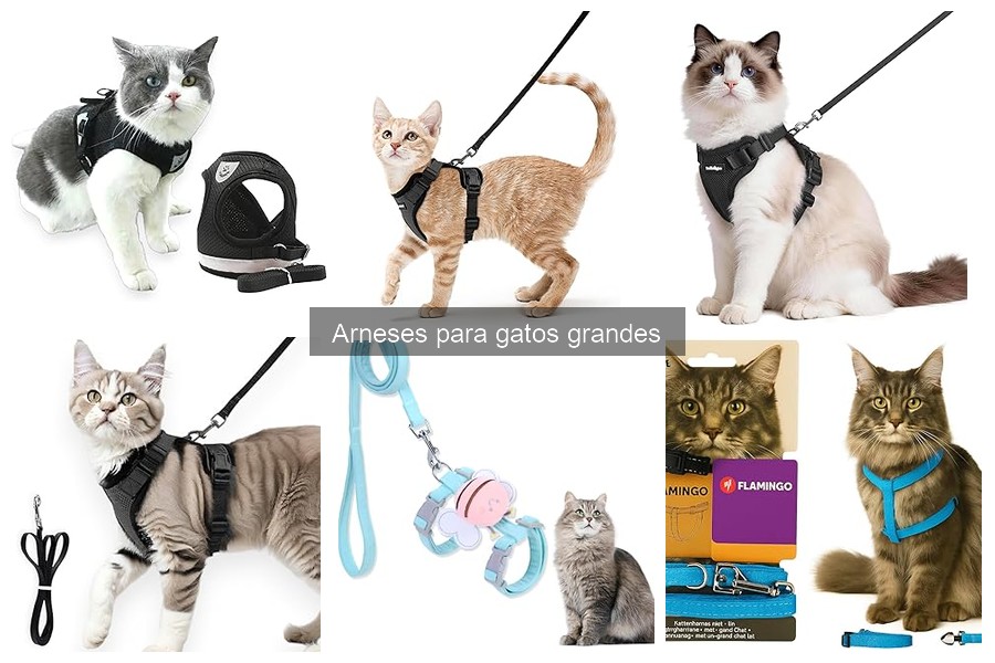 Comparativa de los Mejores Arneses para Gatos Grandes