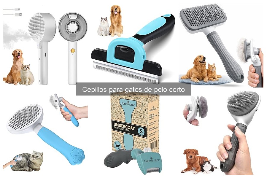 Comparativa de los Mejores Cepillos para Gatos de Pelo Corto