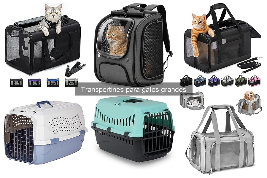 Comparativa de los Mejores Transportines para Gatos Grandes