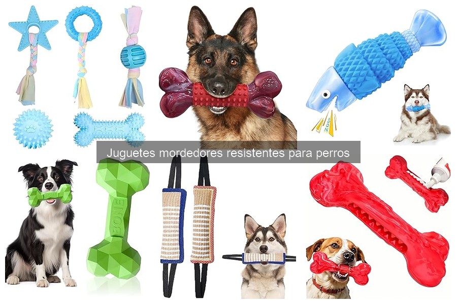Comparativa de materiales en juguetes mordedores para perros