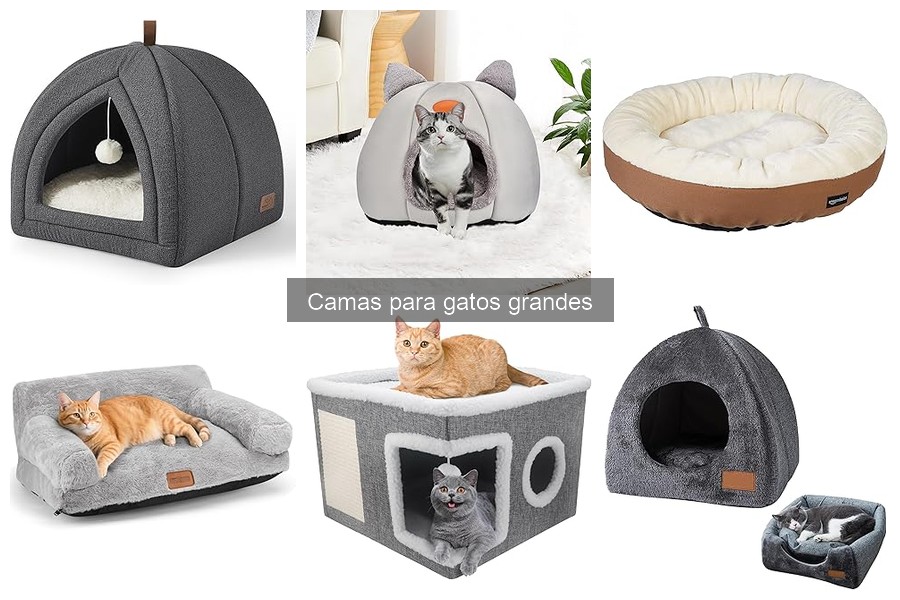 Comparativa de Materiales para Camas de Gatos Grandes