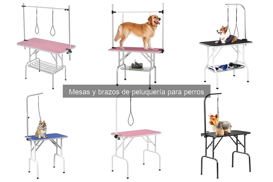 Comparativa de Mesas de Peluquería para Perros y Gatos