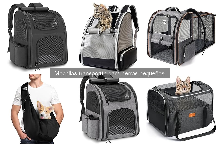 Comparativa de mochilas transportín para perros pequeños