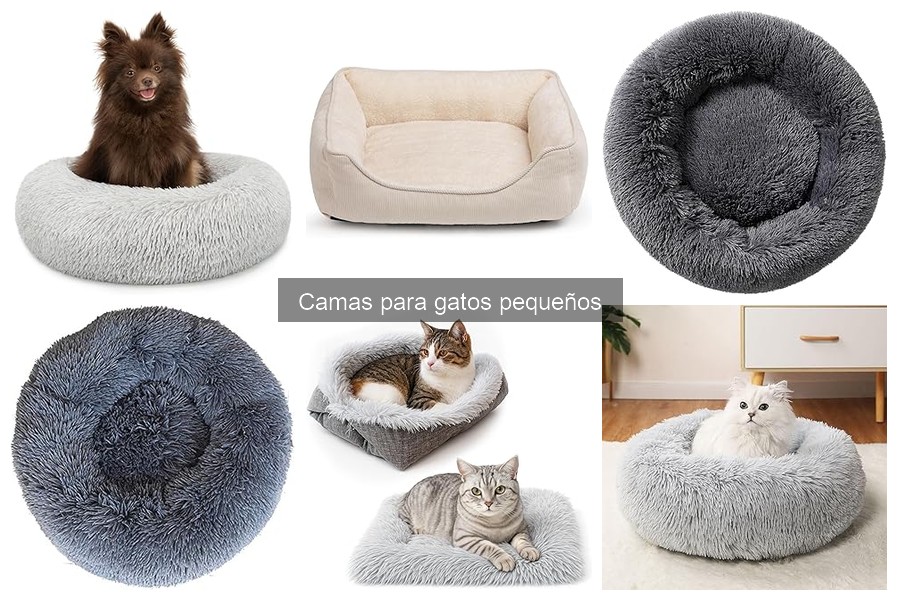 Comparativa de precios: camas para gatos pequeños en tiendas