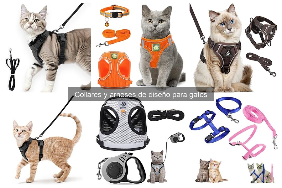 Comparativa de Precios: Collares y Arneses de Diseño para Gatos