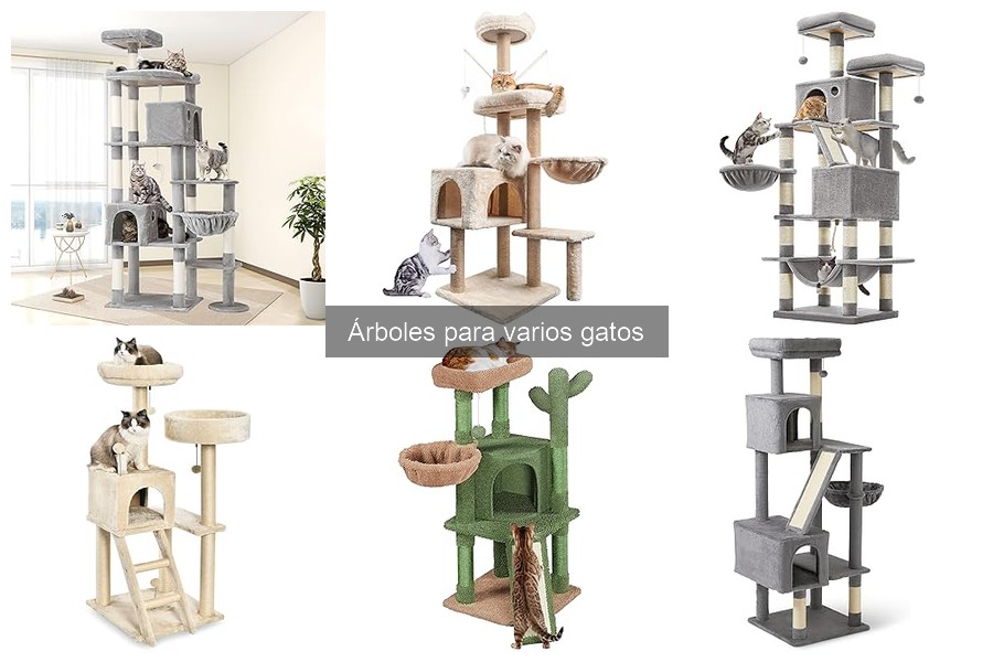 Comparativa de Precios de Árboles para Gatos en 2023