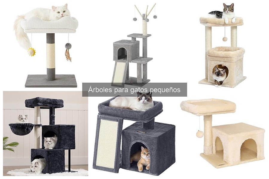 Comparativa de precios de árboles para gatos pequeños
