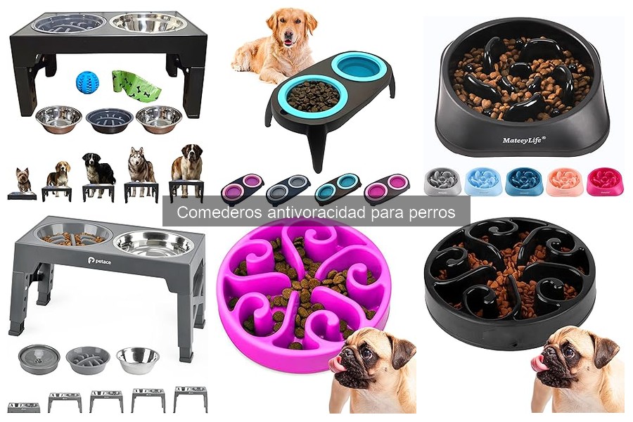 Comparativa de precios de comederos antivoracidad para perros