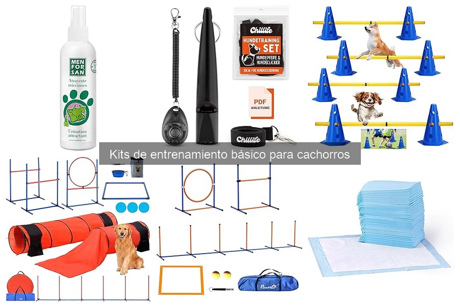 Comparativa de precios de kits de entrenamiento para cachorros