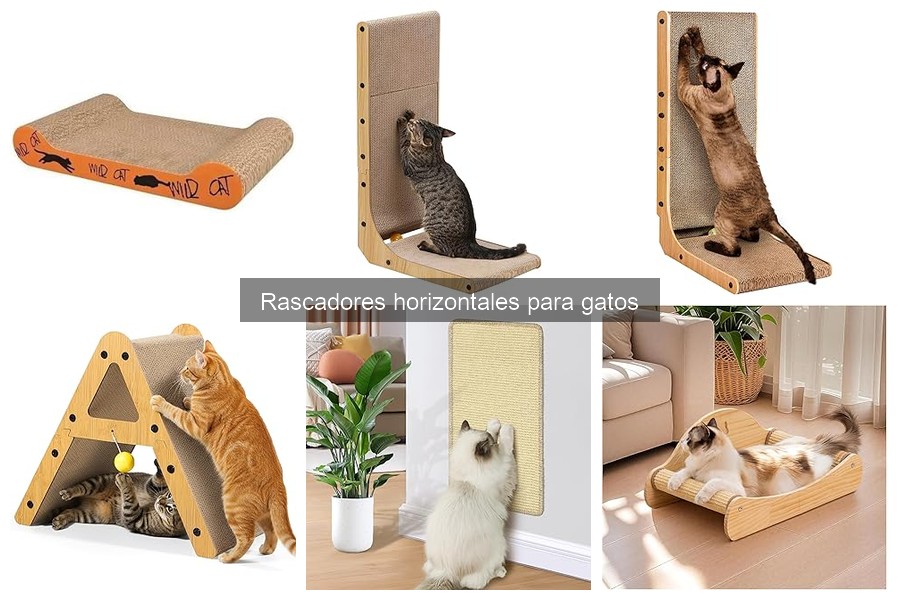** Comparativa de Rascadores Horizontales y Verticales para Gatos