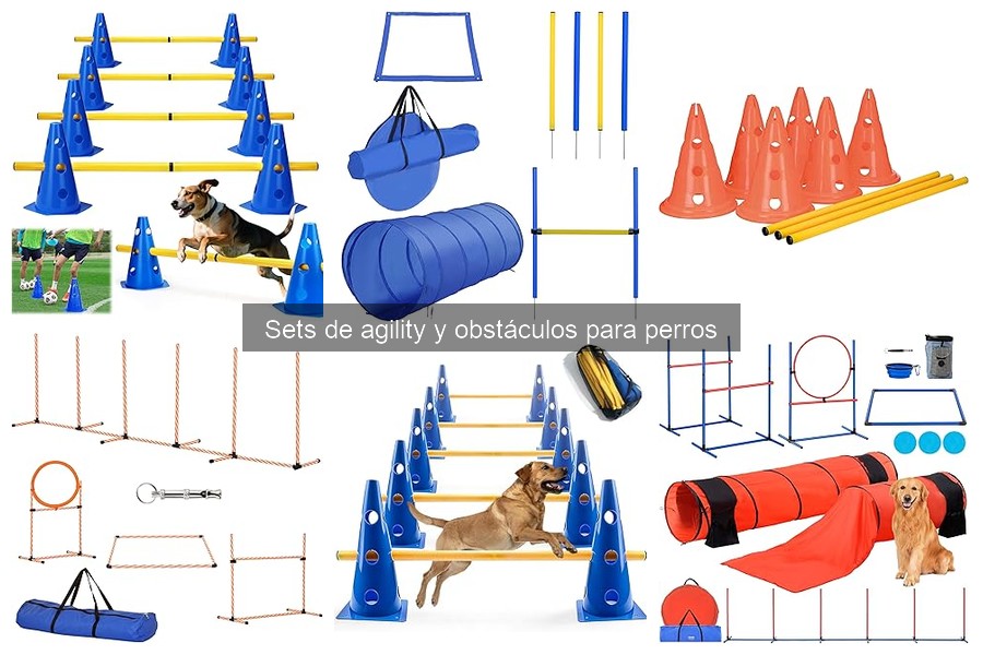Comparativa de Sets de Agility para Perros: Mejores Opciones