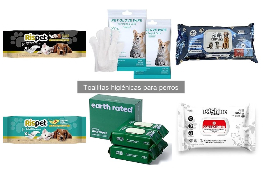 Comparativa de toallitas higiénicas para perros más populares
