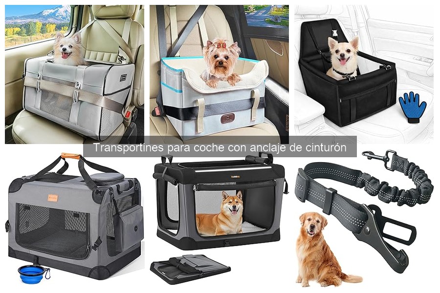 Comparativa de Transportines con Anclaje y Otros Modelos