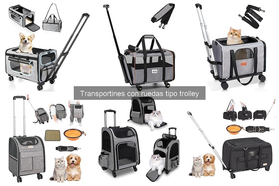 Comparativa de Transportines con Ruedas y Sin Ruedas