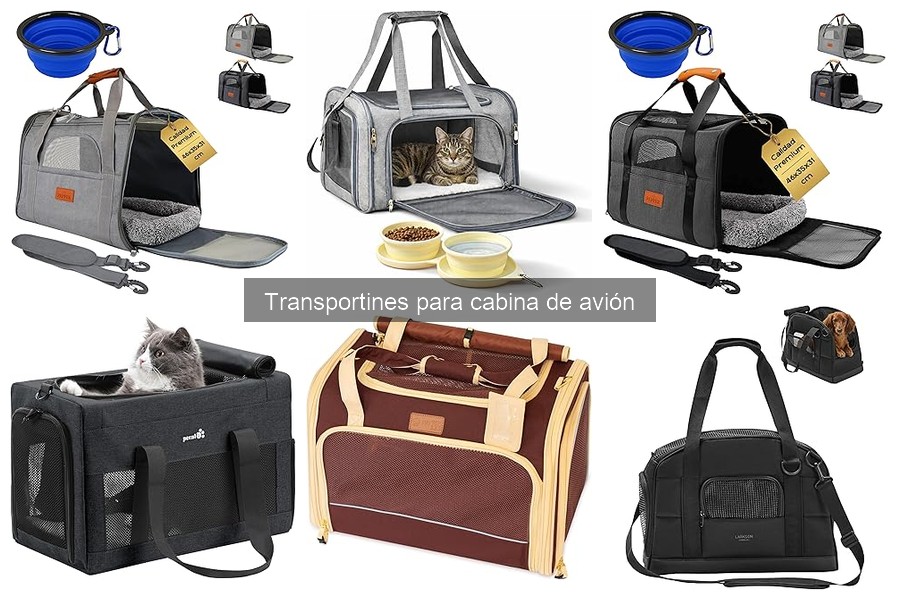 Comparativa de transportines para cabina de avión: marcas destacadas