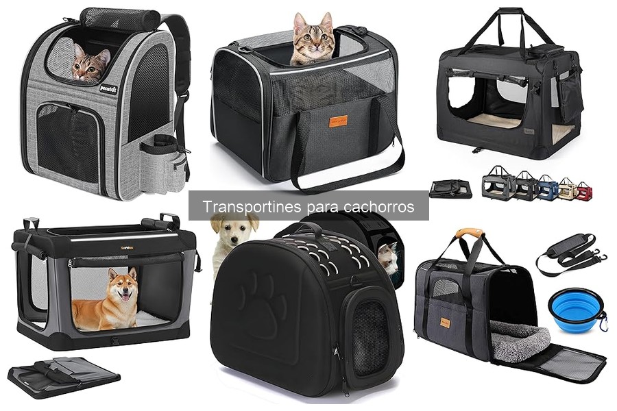 Comparativa de transportines para cachorros: Mejores marcas y precios