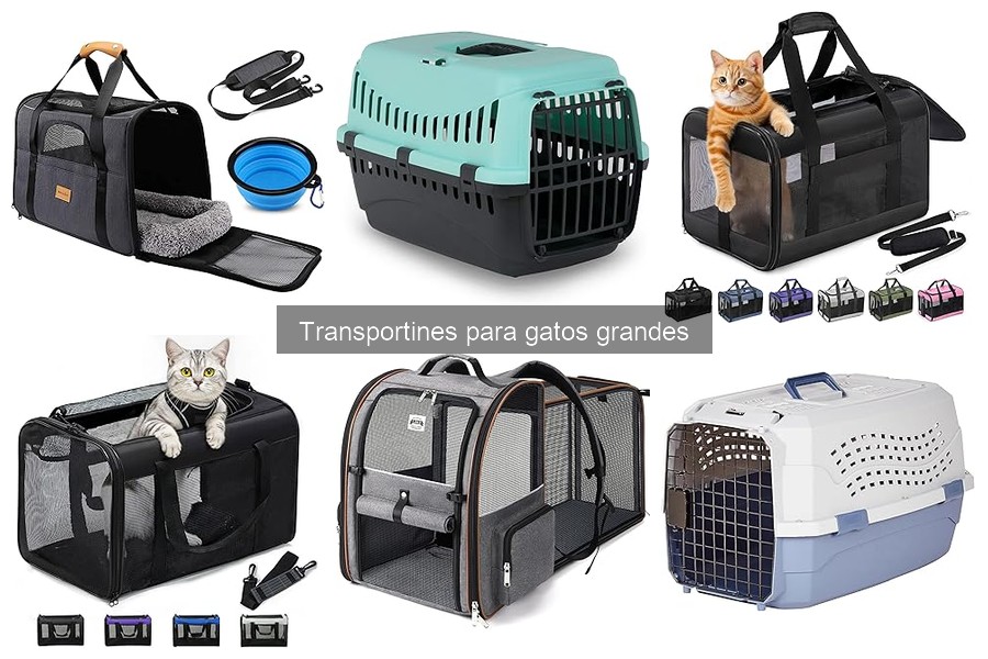 Comparativa de transportines para gatos grandes: marcas populares