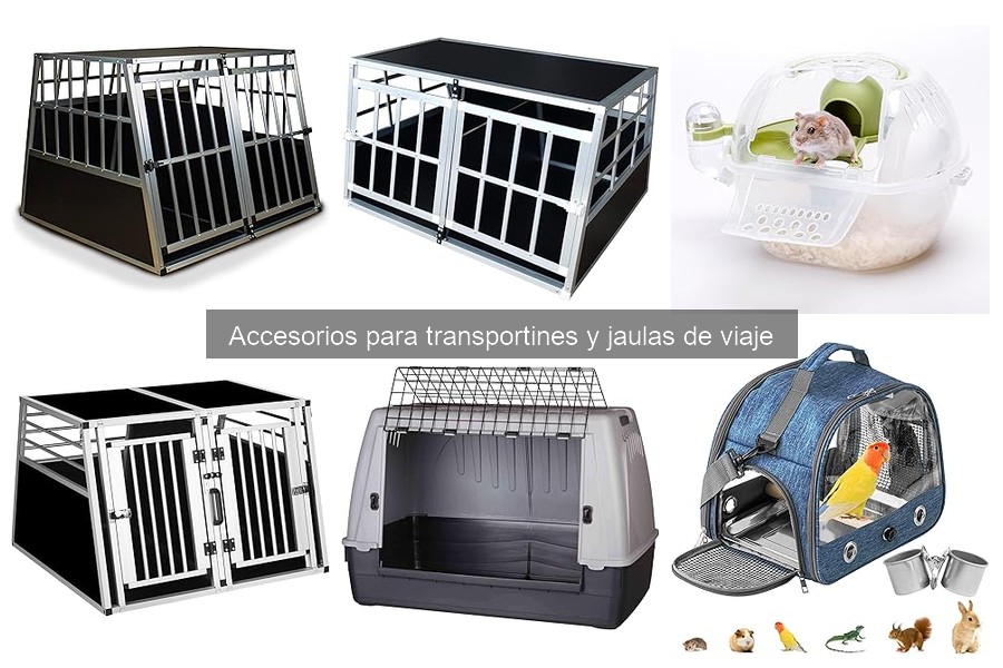 Comparativa de transportines para perros y gatos: Mejores opciones