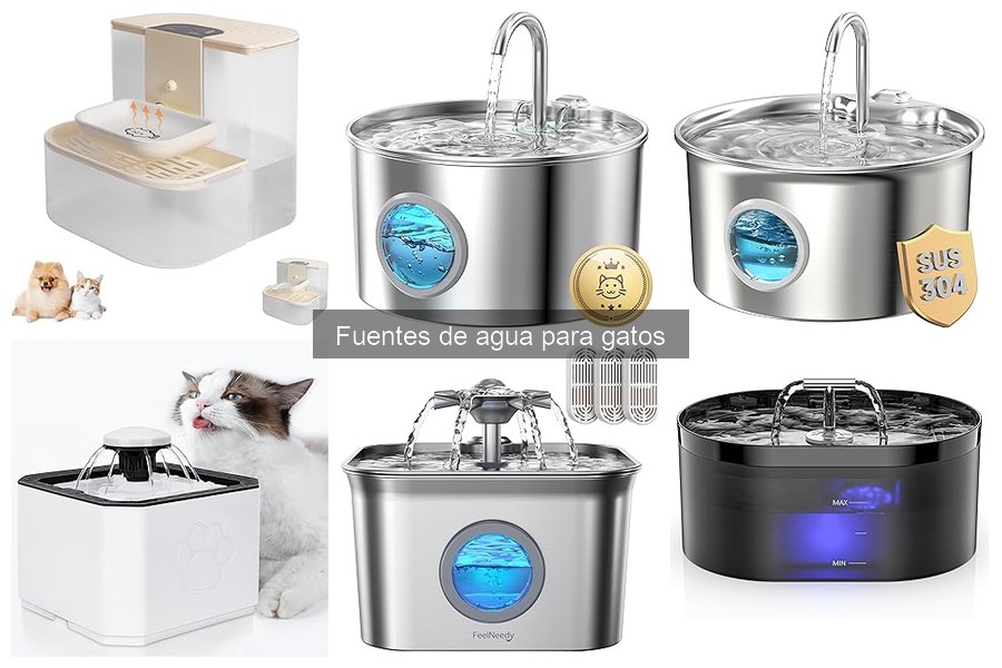 Comparativa: Fuentes de Agua Automáticas vs Manuales para Gatos