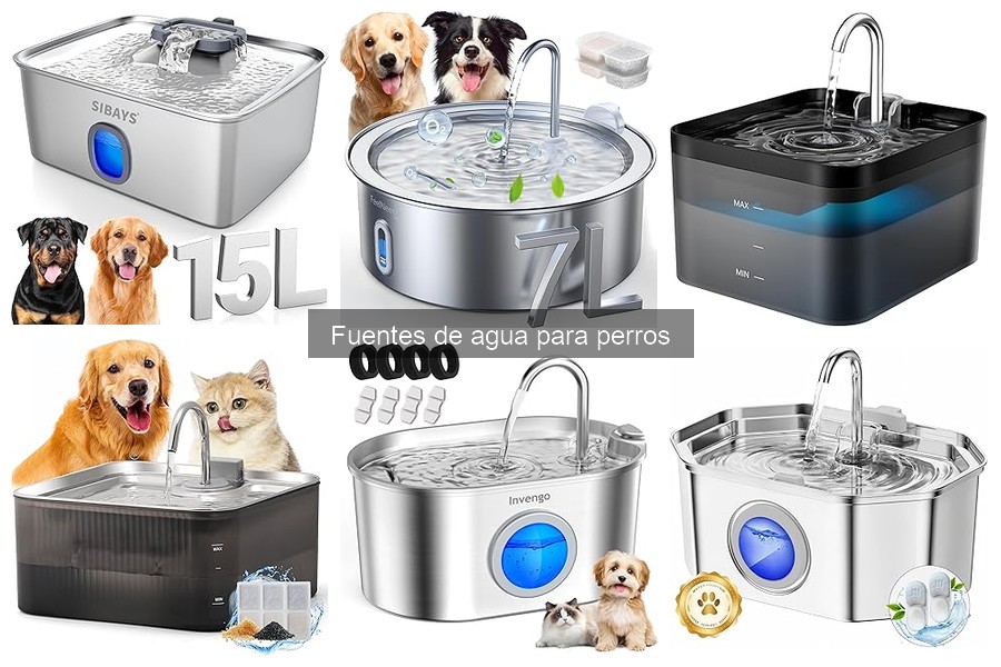 Comparativa: Fuentes de Agua Automáticas vs Manuales para Perros
