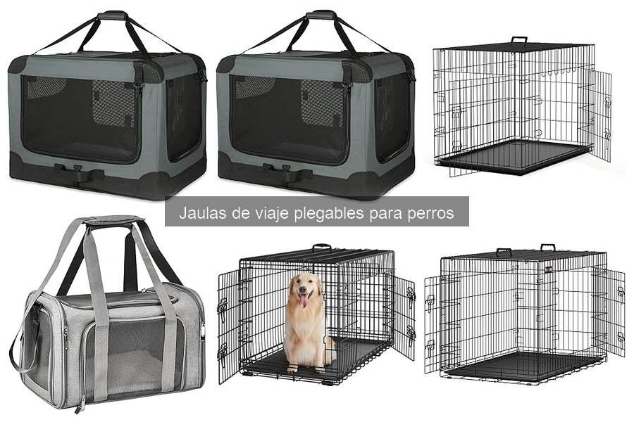 Comparativa: Jaulas de viaje vs. otras opciones de transporte