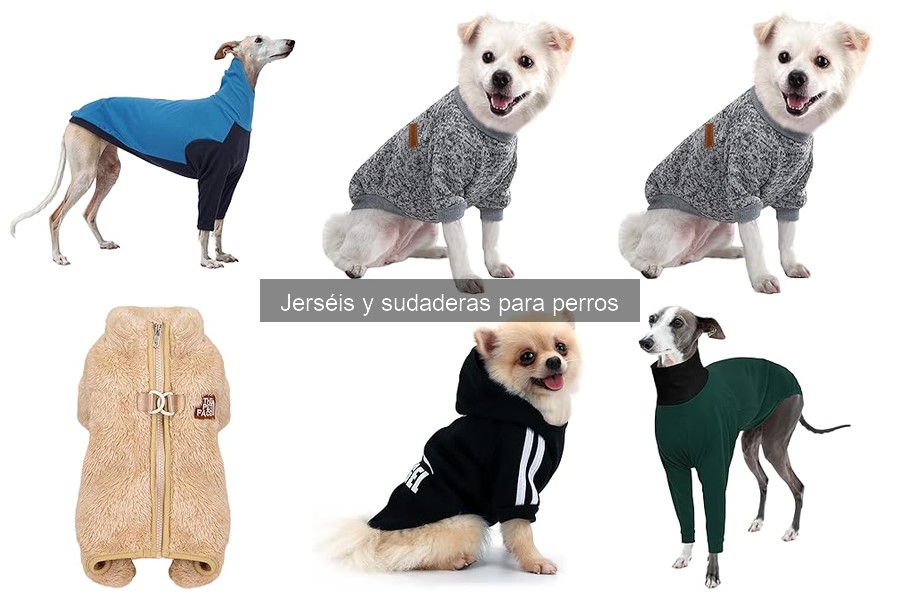 Comparativa: Jerséis de invierno vs Sudaderas de primavera para perros