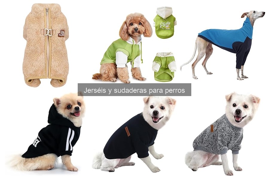 Comparativa: Jerséis y Sudaderas para Perros Online vs. Tiendas