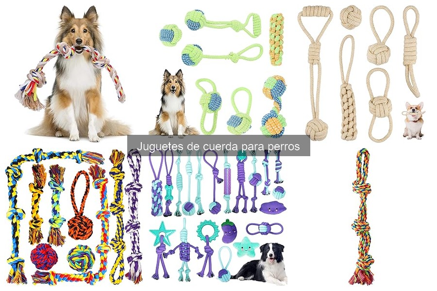 Comparativa: Juguetes de Cuerda vs. Otros Materiales para Perros
