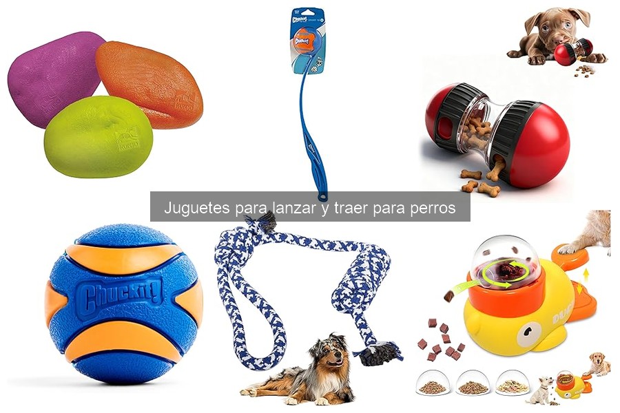 Comparativa: Juguetes de goma vs. juguetes de tela para perros