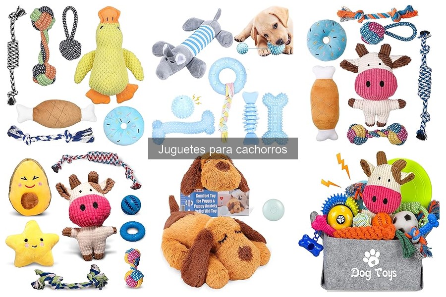 Comparativa: Juguetes de goma vs. peluche para cachorros