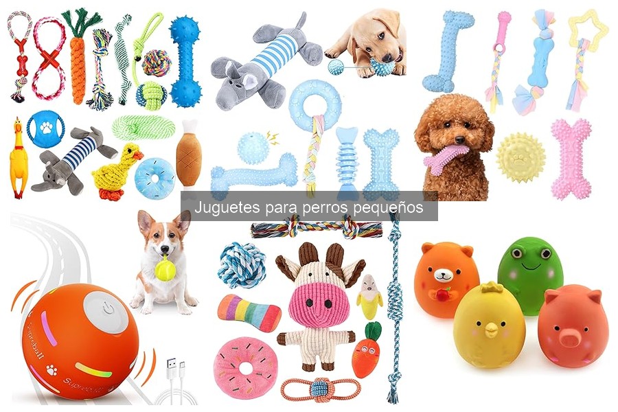 Comparativa: Juguetes de goma vs. peluche para perros pequeños