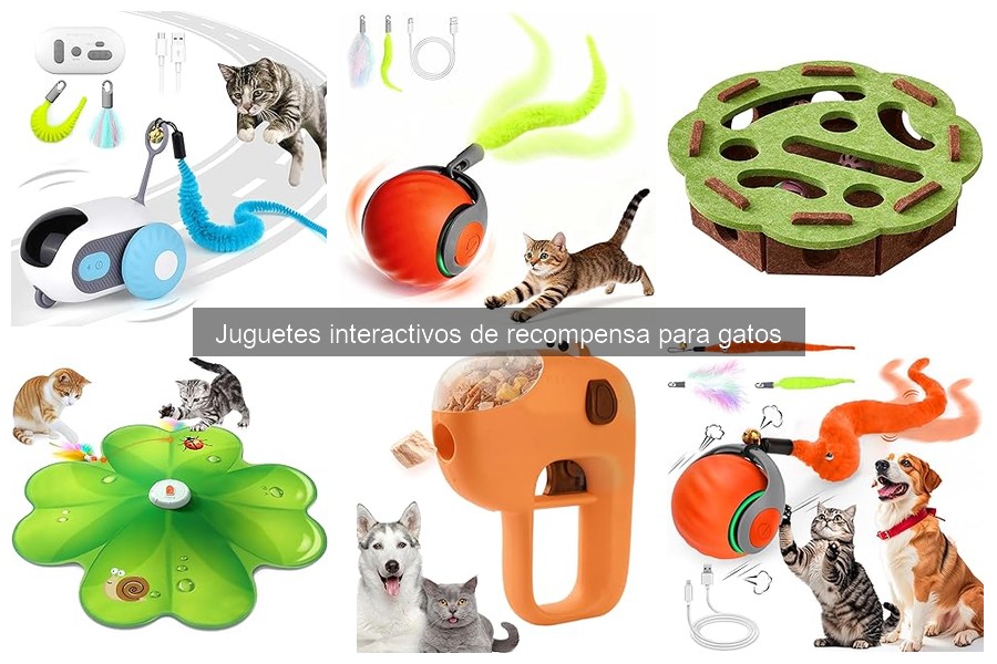 Comparativa: Juguetes Interactivos vs Tradicionales para Gatos