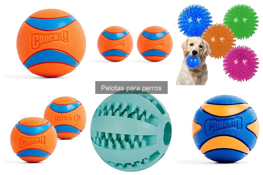 Comparativa: Pelotas de goma vs. pelotas de tela para perros